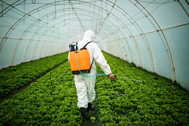 Best Pest Control Treatment  in West Wareham, MA