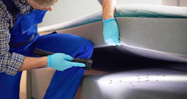 Best Rat Extermination Near Me  in West Wareham, MA