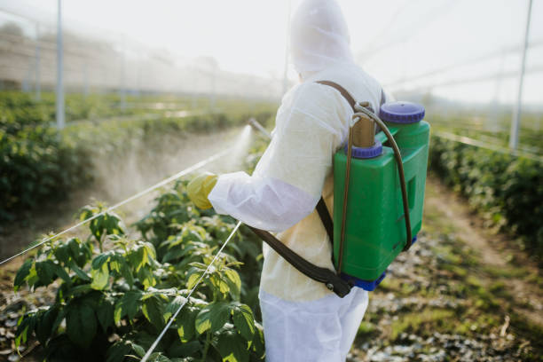 West Wareham, MA Pest Control Company